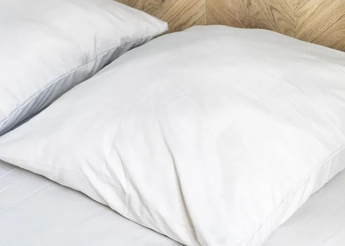 T2 - Ferrand アパート *